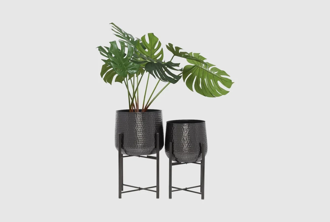 livingspaces202606210400191389596