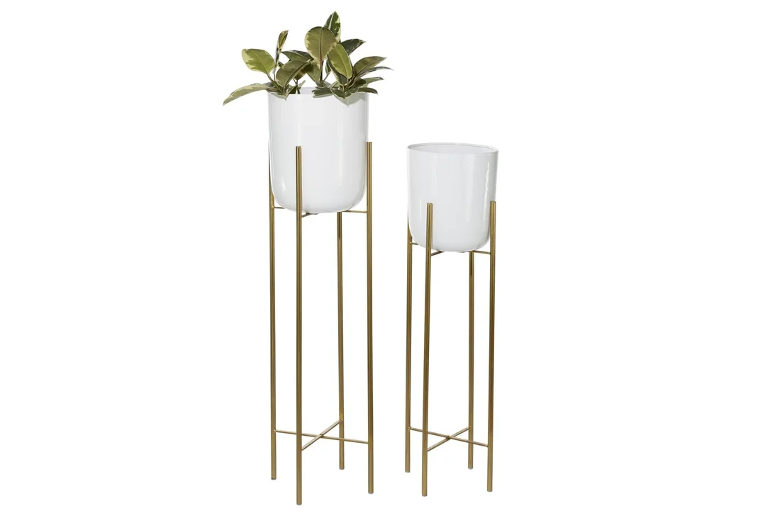 livingspaces202606210425551394042